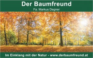 baumfreund-grafik