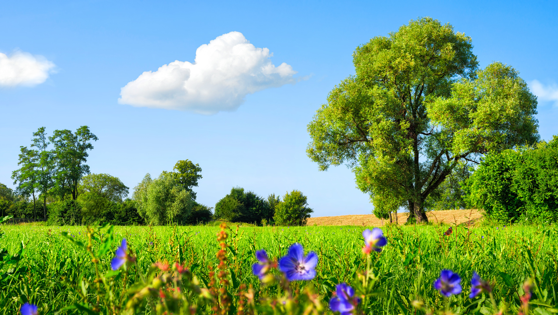 Landwirtschaft | Das Bodenlabor